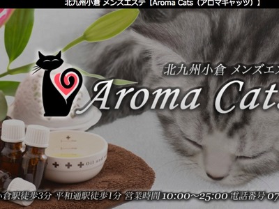 Aroma  Cats(アロマキャッツ)