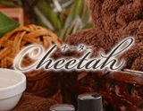 cheetah金山～チーター