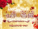奇跡の薔薇